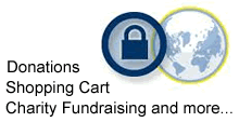 Shopping Cart Solutions