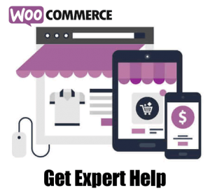 We Build eCommerce Stores with WordPress & WooCommerce & SEO
