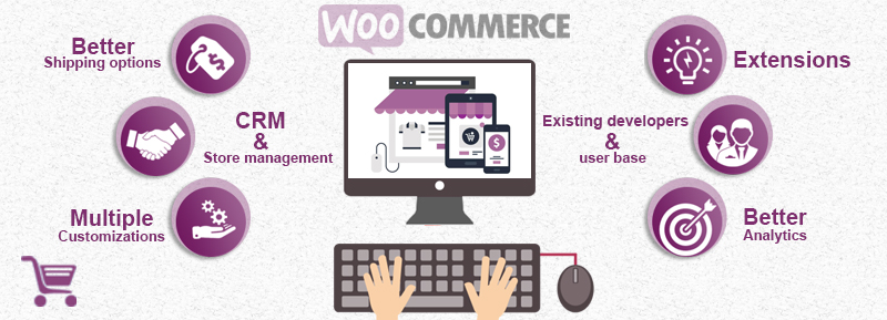 We Build eCommerce Stores with WordPress & WooCommerce & SEO