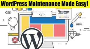 WordPress Maintenance Made Easy from $75/mo Support & Management‎